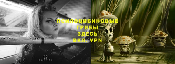 сатива Балабаново