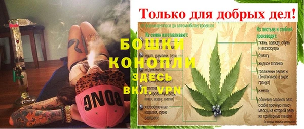 трава Белокуриха
