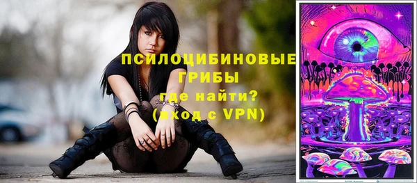 apvp Балахна