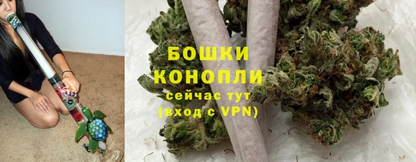 сатива Балабаново