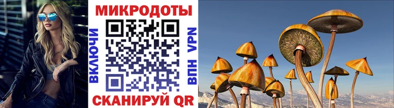 Псилоцибиновые грибы Psilocybine cubensis  ОМГ ОМГ зеркало  Нахабино  закладка 